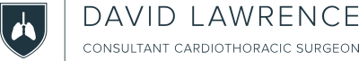 dl-logo